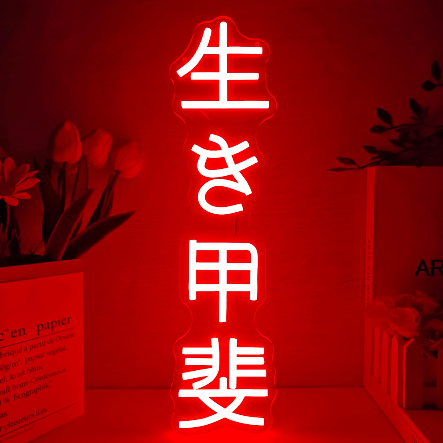 Lighting Decor Room - Japanese Birthday Ikigai Neon Sign USB