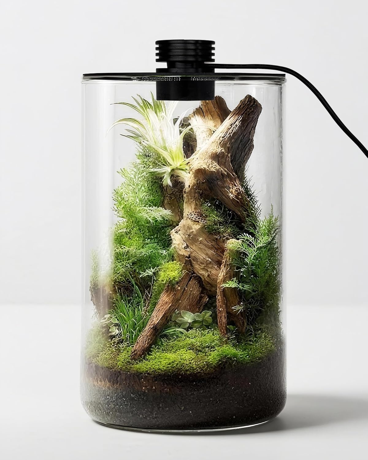Indoor Glass Terrarium with Gr - Office Lighting Decor reseña y precio