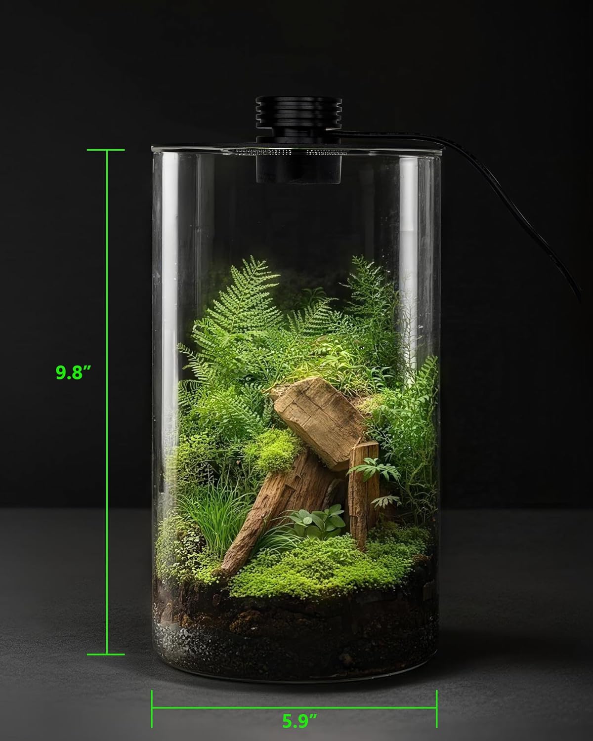 Indoor Glass Terrarium with Gr - Office Lighting Decor reseña y precio