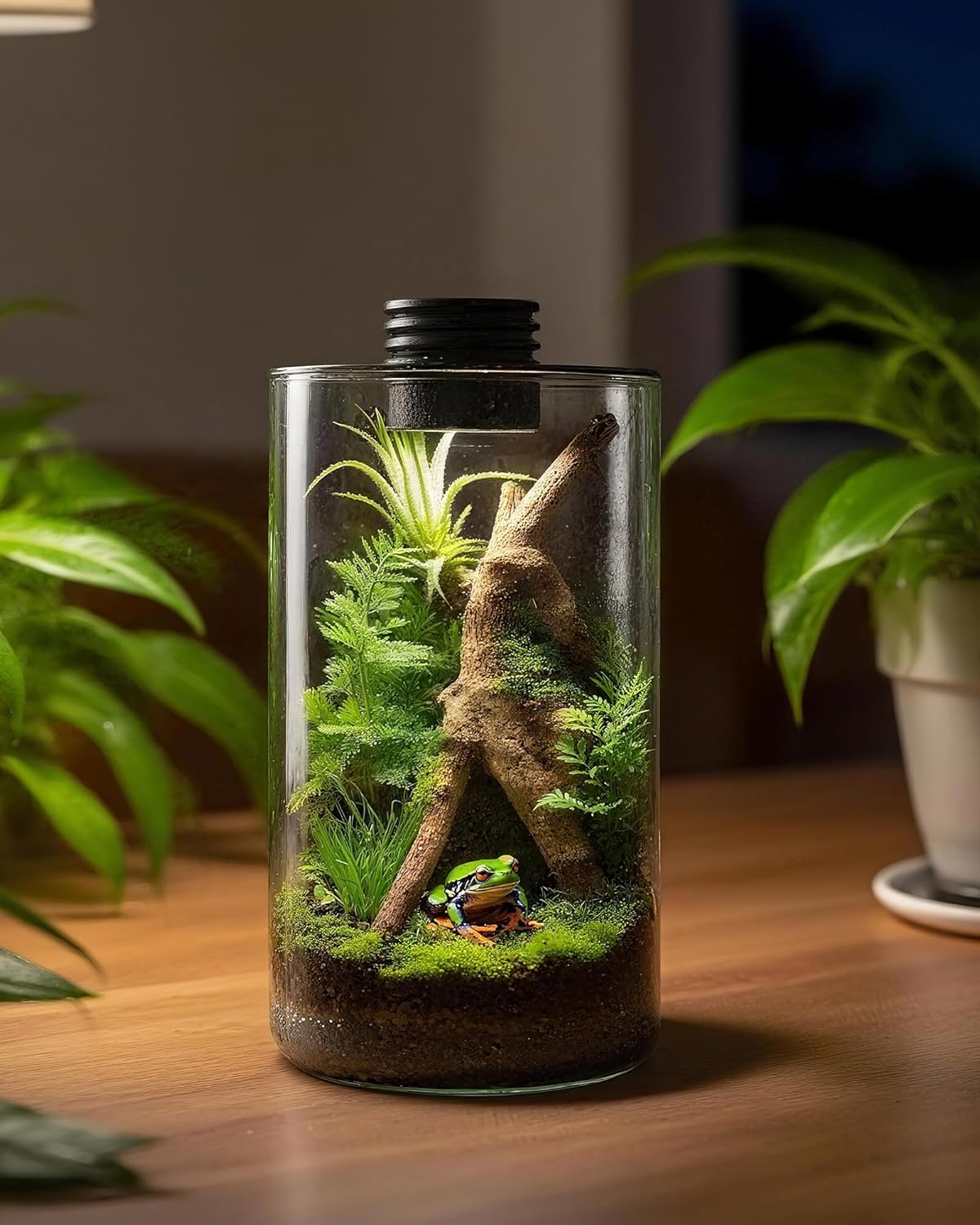 Indoor Glass Terrarium with Gr - Office Lighting Decor reseña y precio
