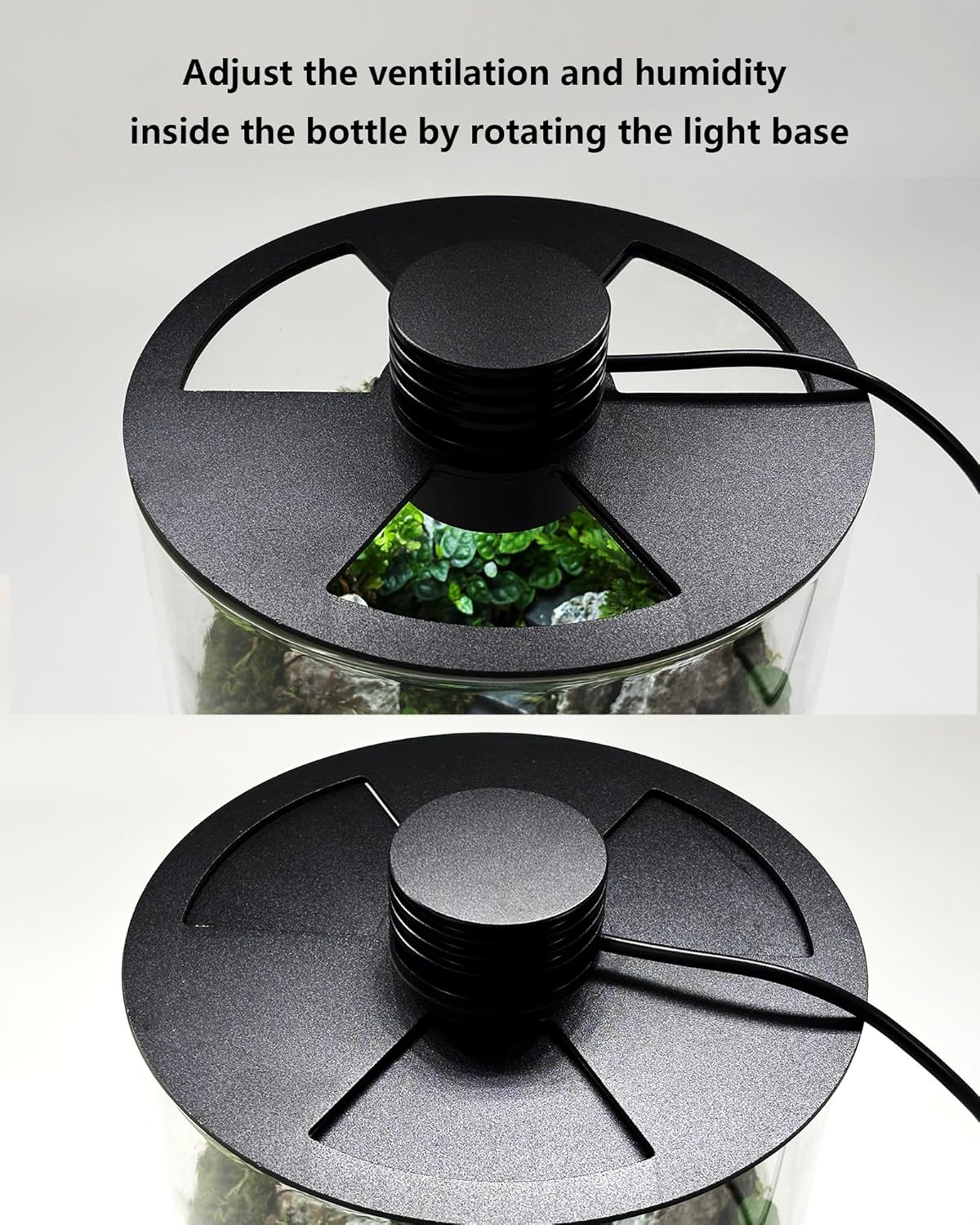 Indoor Glass Terrarium with Gr - Office Lighting Decor reseña y precio
